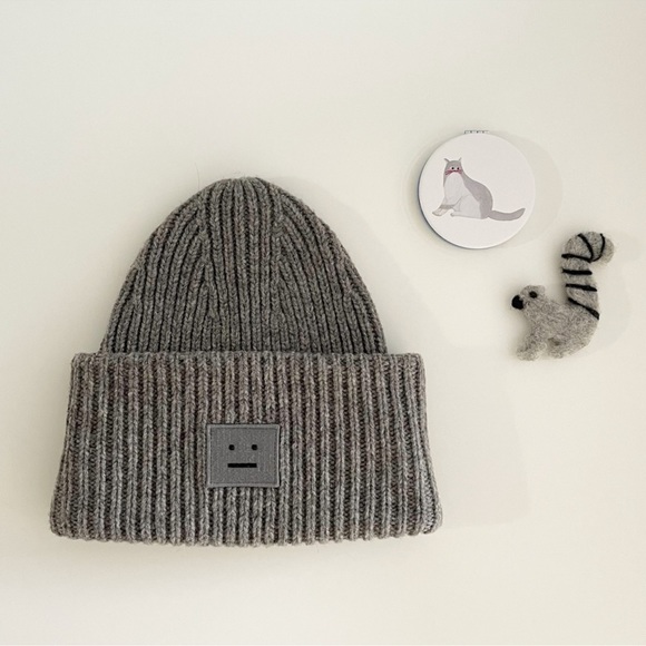 Acne Studios Accessories - NWOT ACNE Studios ribbed beanie